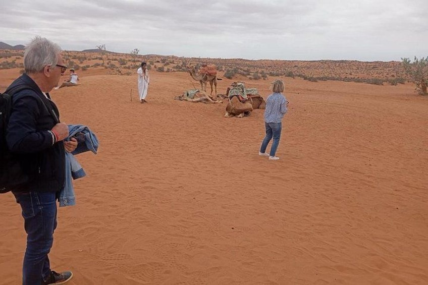 A desert landscape with a camel, a person in white, and another person in blue. 3