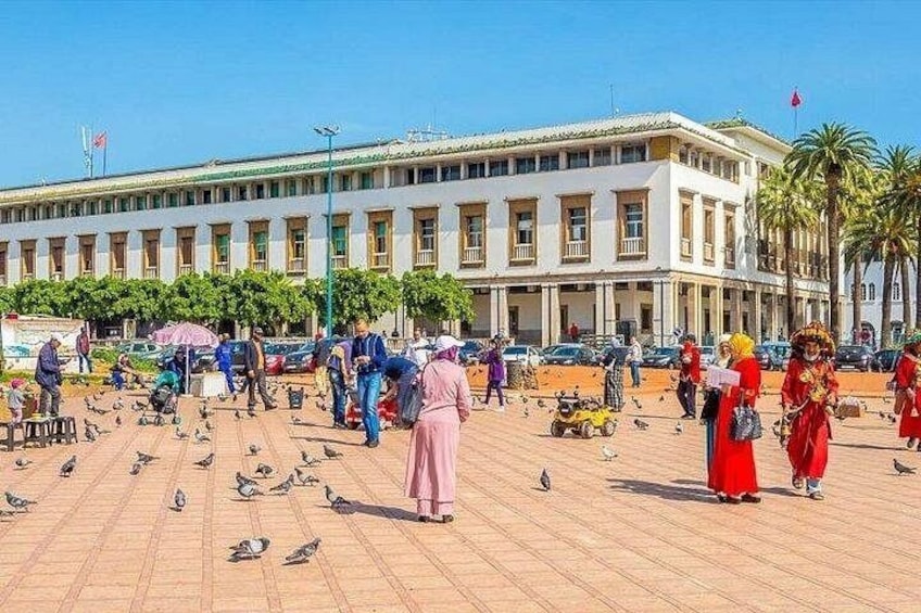 A public square with people, pigeons, and a large building in the background. 1