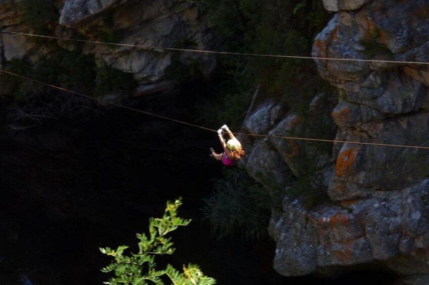 3 Day Garden Route Safari 5