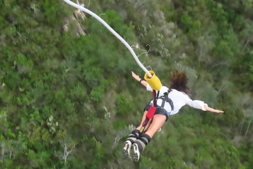 3 Day Garden Route Safari 3