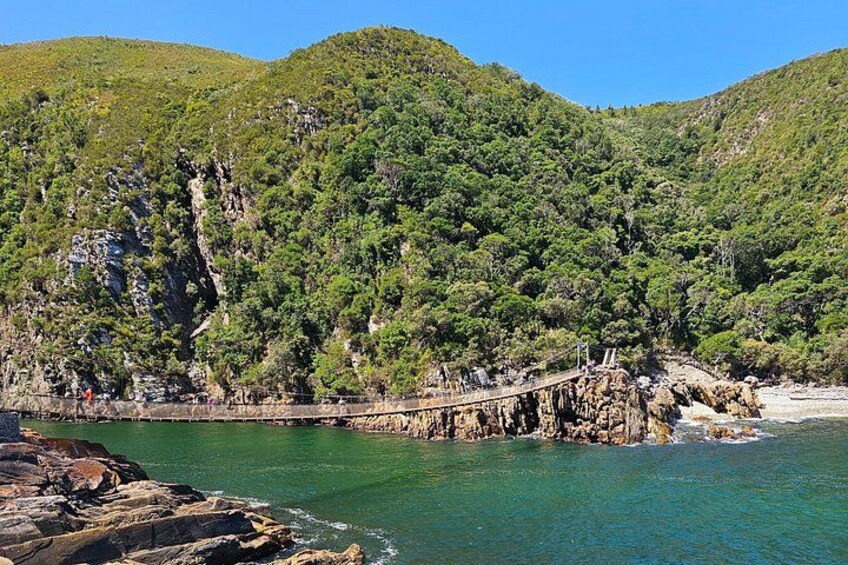 3 Day Garden Route Safari 2