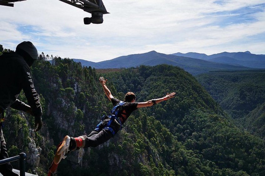 A person bungee jumping from a bridge over a canyon with lush greenery and mountains in the background. 1