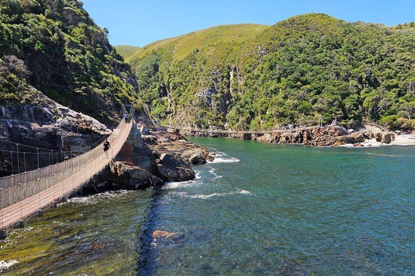 3 Day Garden Route Safari 4