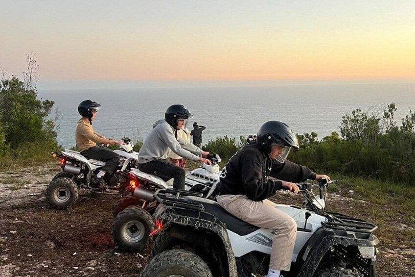 3 Day Garden Route Safari 2
