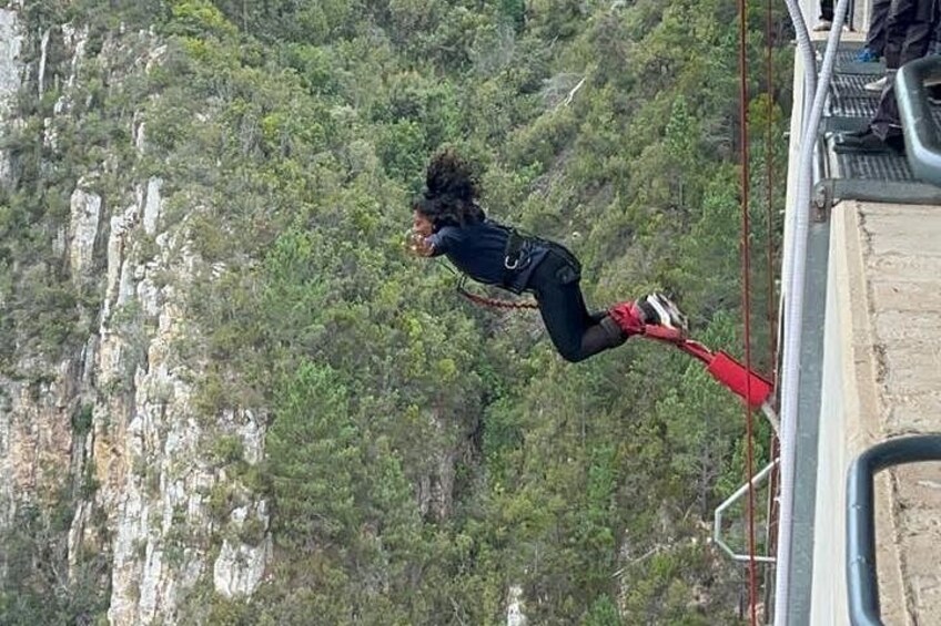 A person bungee jumping with a mountainous landscape in the background. 2