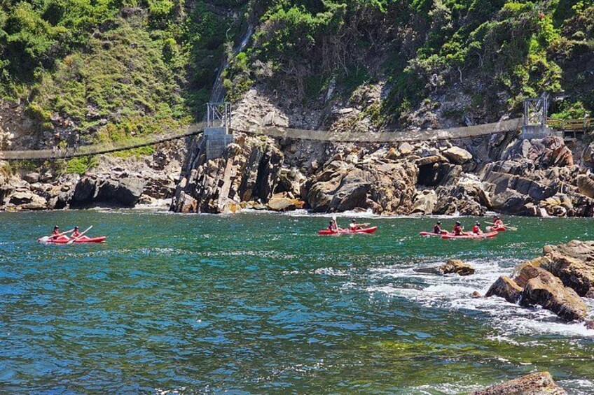 3 Day Garden Route Safari 2