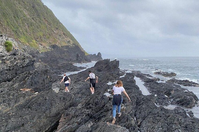 3 Day Garden Route Safari 4
