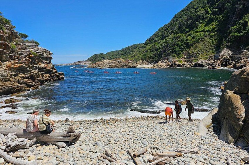 3 Day Garden Route Safari 3