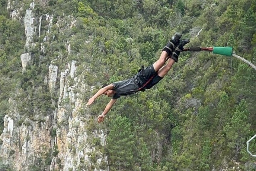 A person bungee jumping with a green bungee cord, surrounded by rocky cliffs and dense forest. 4