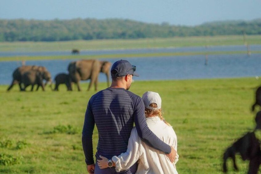 Una pareja de pie en un campo cubierto de hierba, con elefantes al fondo. 1