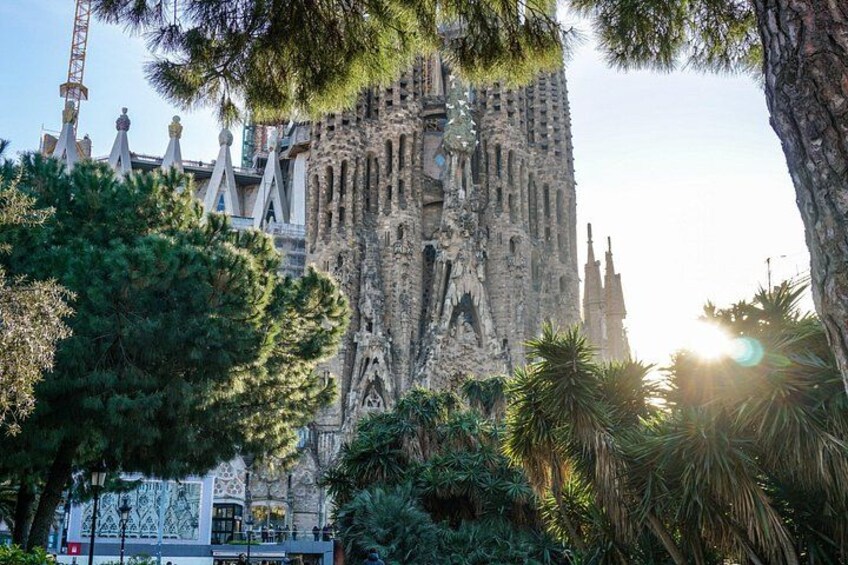 Barcelona : Sagrada, Park Guell, Montjuic & Gothic 4