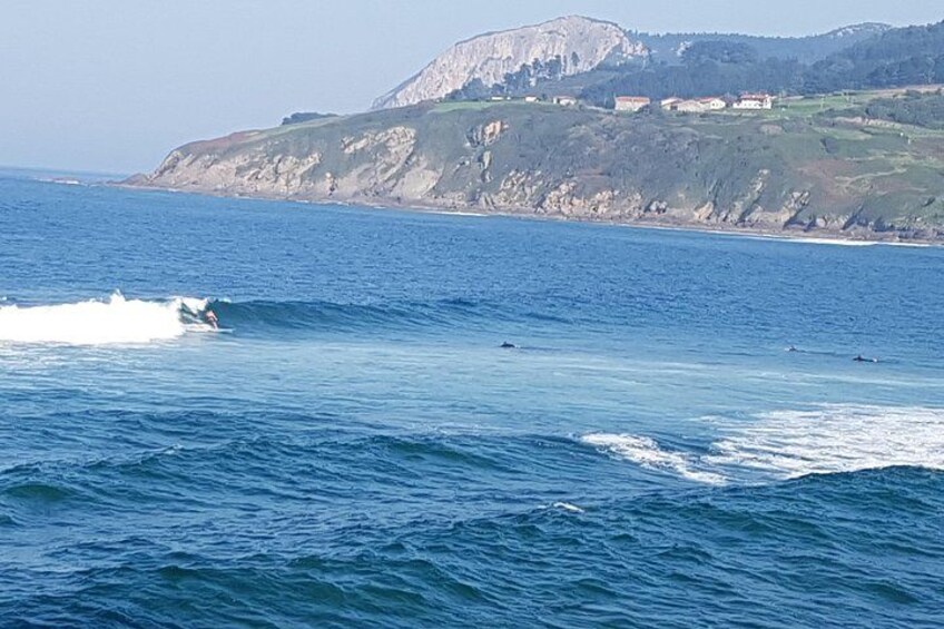 Un paysage côtier avec un surfeur chevauchant une vague, des falaises et des bâtiments en arrière-plan. 3