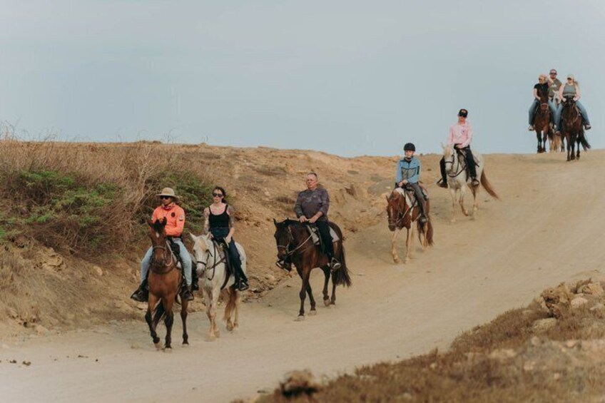 2-Hour Horseback Riding Tour to Little Natural Bridge in Aruba 4