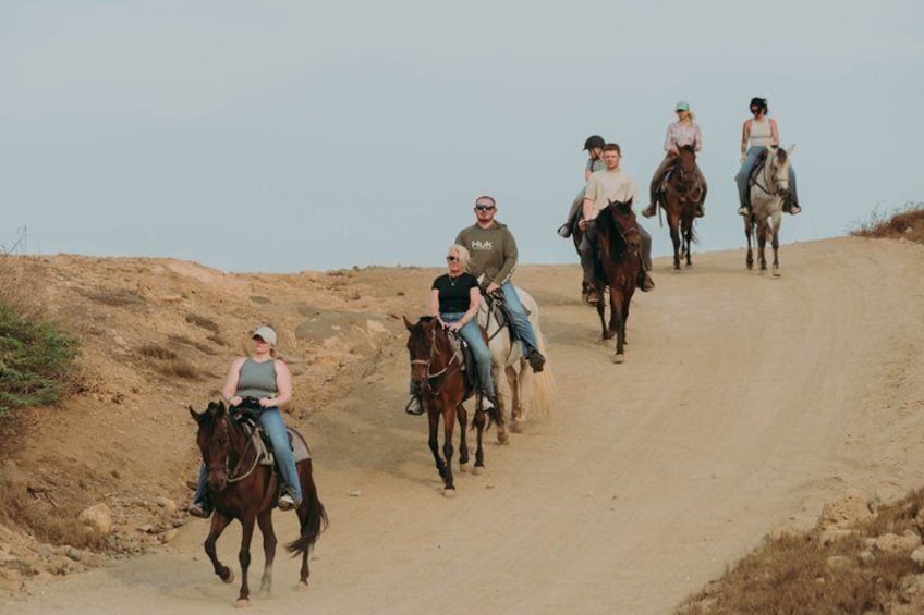 2-Hour Horseback Riding Tour to Little Natural Bridge in Aruba 2