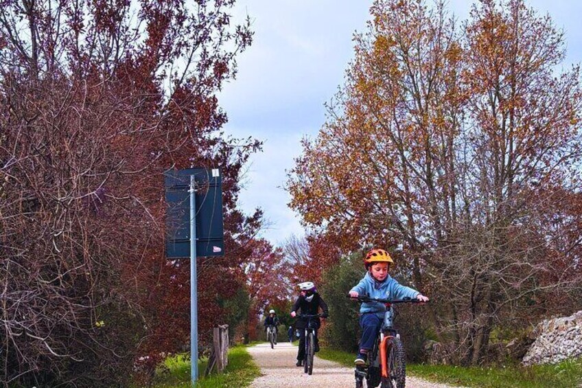 A person riding a bicycle on a path surrounded by trees with autumn foliage. 1