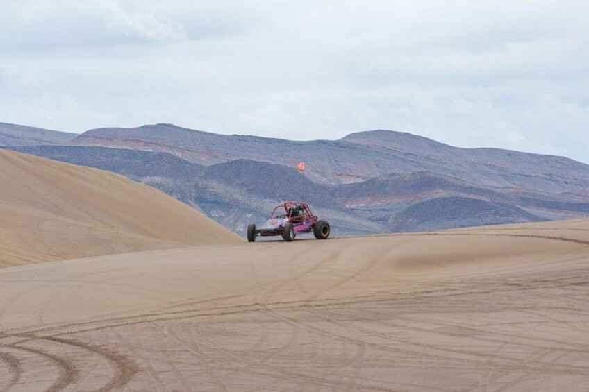 Un buggy delle dune su una duna sabbiosa con un paesaggio desertico sullo sfondo. 3