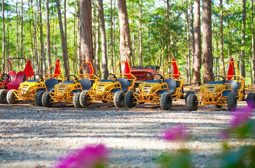 Vietnam: Datanla Electric Vehicle Service - Datanla Pine Karts 5