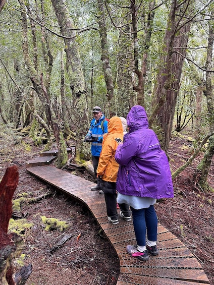 Picture 11 for Activity Cradle Mountain: Day Trip from Launceston with Lunch 2