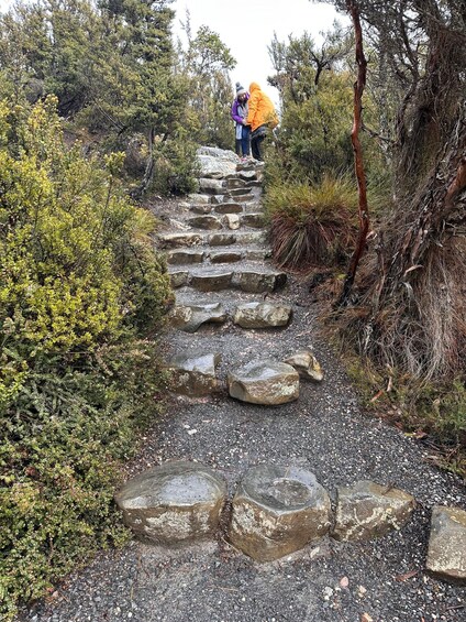 Picture 3 for Activity Cradle Mountain: Day Trip from Launceston with Lunch 3