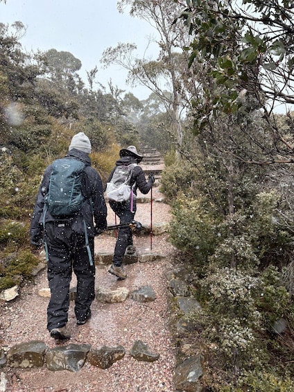 Picture 10 for Activity Cradle Mountain: Day Trip from Launceston with Lunch 5