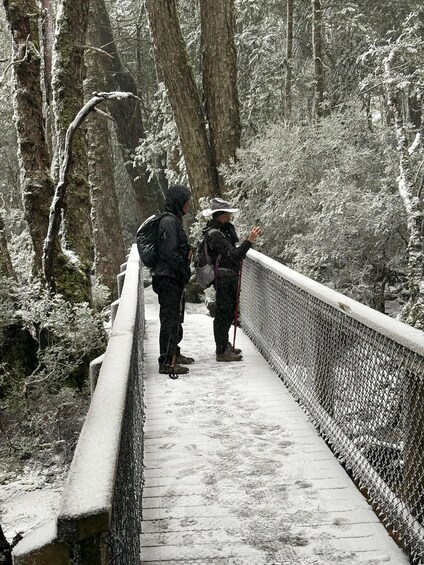 Picture 9 for Activity Cradle Mountain: Day Trip from Launceston with Lunch 4