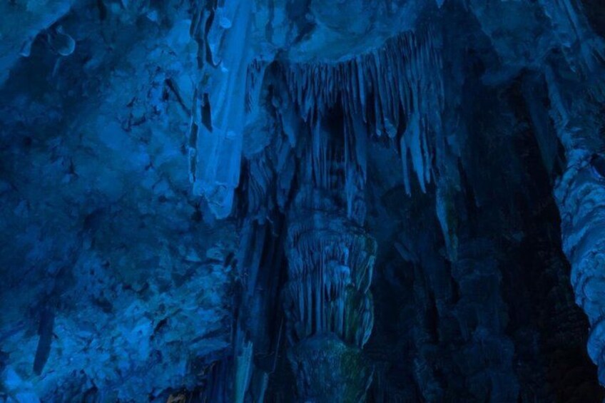 Excursion to Gibraltar from Costa del Sol with Rock Tour included 5
