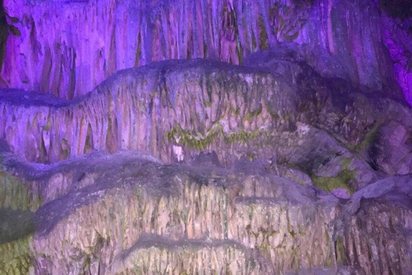 Excursion to Gibraltar from Costa del Sol with Rock Tour included 4