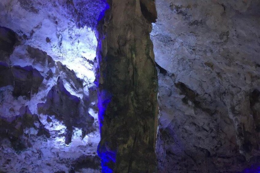 Excursion to Gibraltar from Costa del Sol with Rock Tour included 3