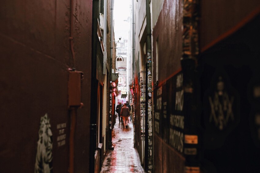 Tour of the Red Light District in Amsterdam 1
