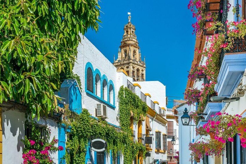 Cordoba Mosque-Cathedral & City Private Tour 1