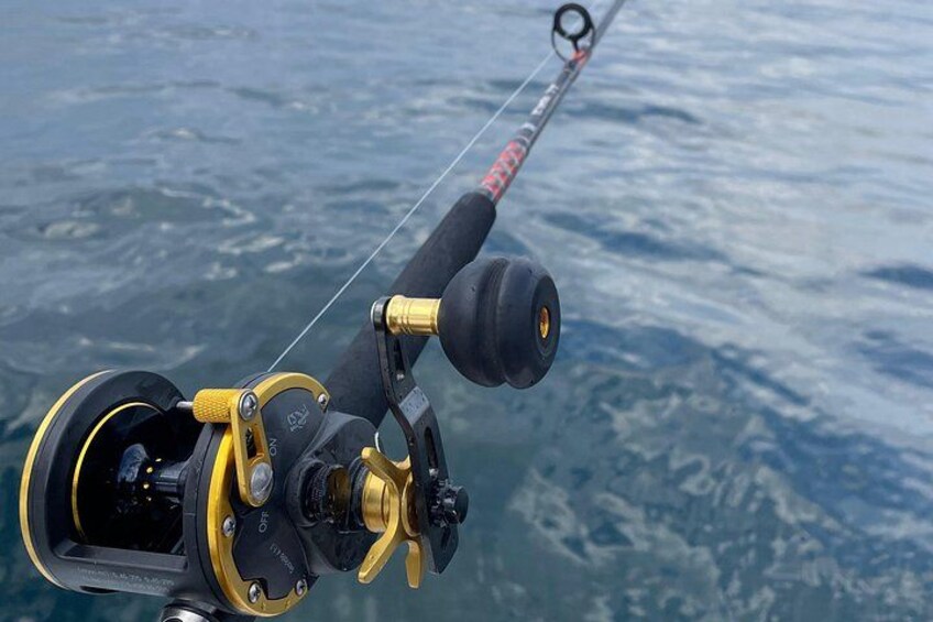 A fishing rod with a reel and line, set against a body of water. 2