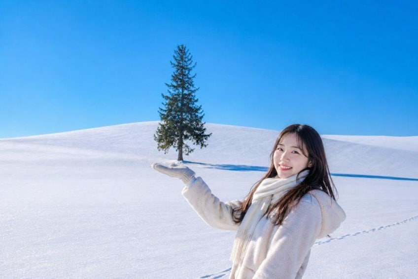 Biei Seasonal Highlights Day Trip from Sapporo 2