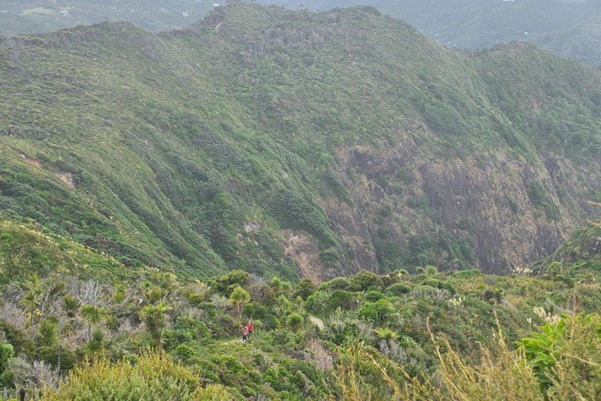 Un paysage montagneux, caractérisé par une végétation luxuriante et une vallée. 3