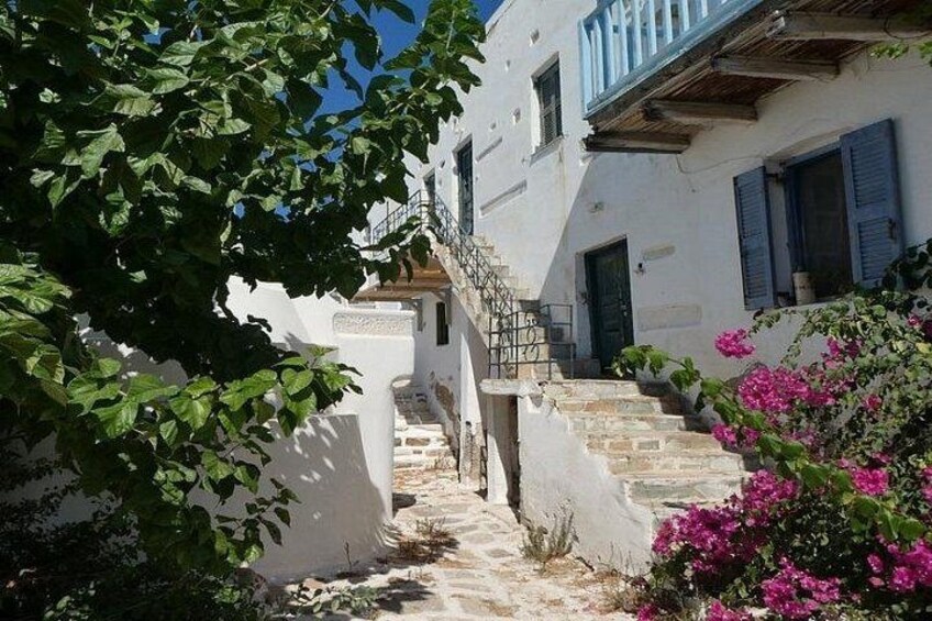 private tour paros 2