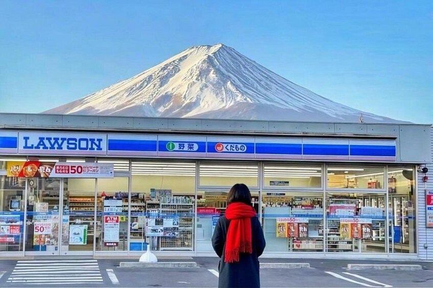 From Tokyo: Mt. Fuji 6 Attractions: Lake Kawaguchi, Oshino Hakkai 3