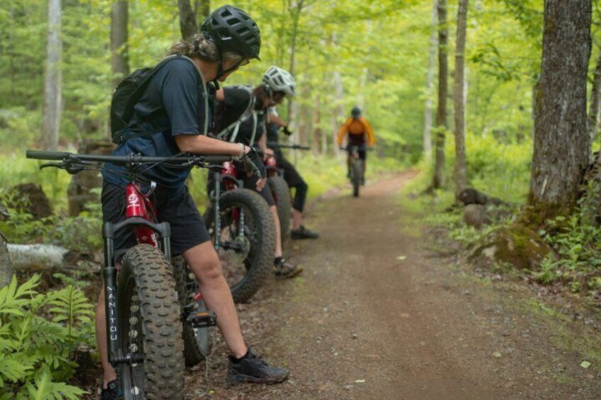 A forested trail with mountain bikes. 4