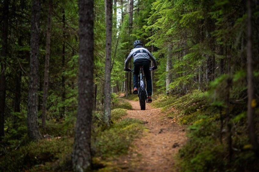 A person riding a bicycle on a forest trail. 3