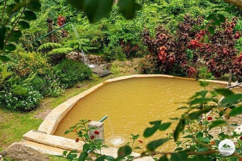 A pond surrounded by lush greenery and a stone structure. 3