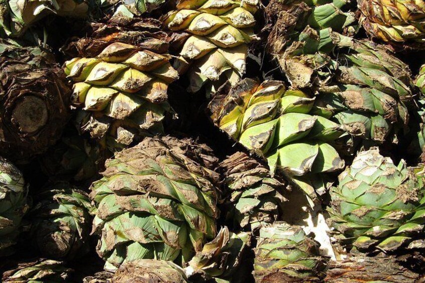 A pile of green and brown plantains. 3