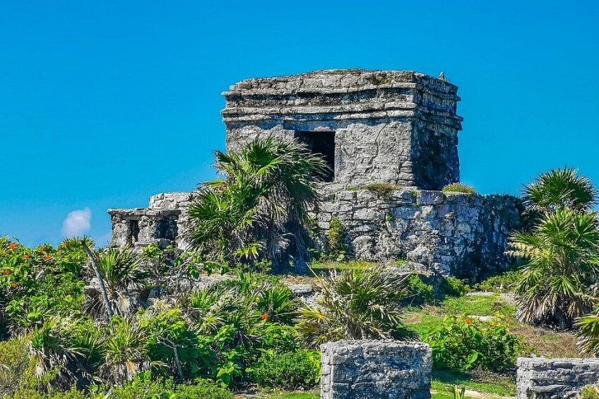 A stone pyramid structure surrounded by lush greenery and palm trees. 2
