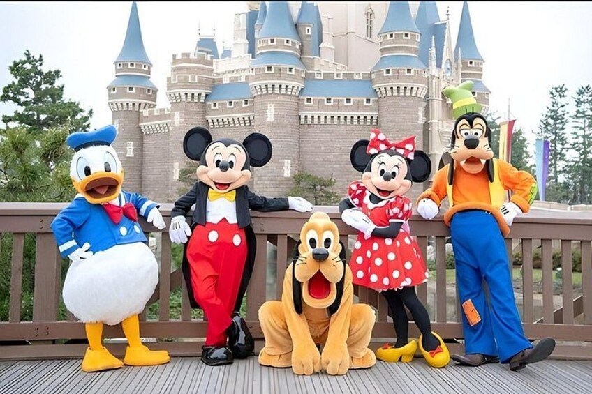 Tokyo Disneyland Ticket and Shared Transfers 1