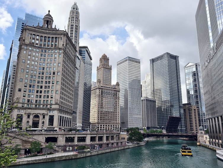 Premium Chicago City Tour Small Group ICONIC Landmarks & Skyline 4