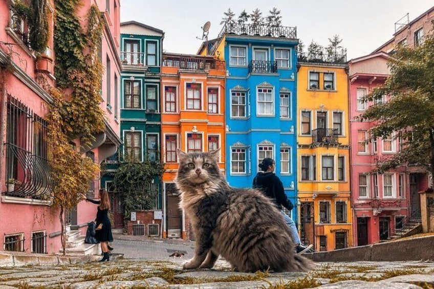 Istanbul Self-Guided Audio Tour: 29 Hidden Stories& Secret Places 2