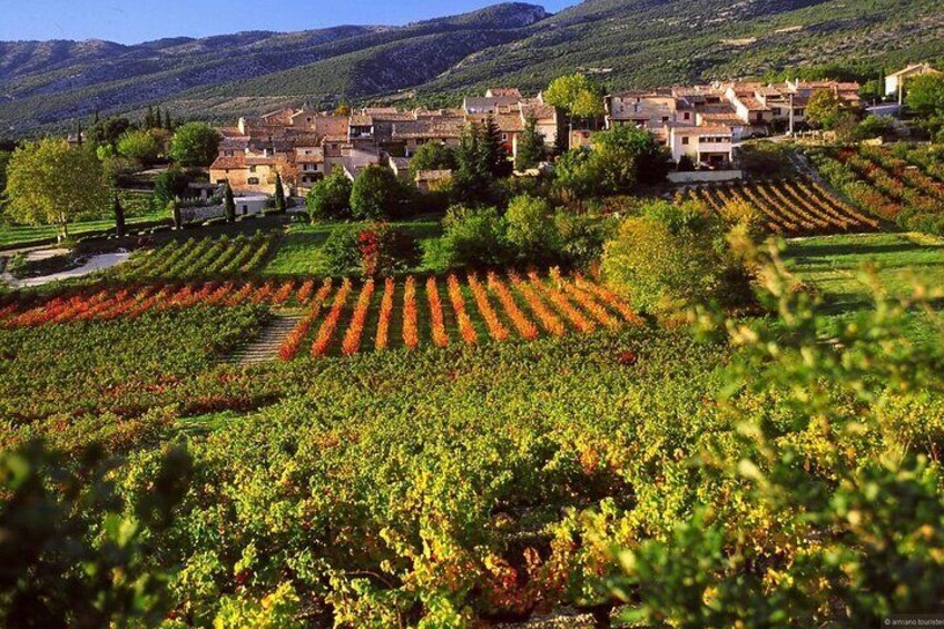 Capital city of the French Riviera Nice and the wine tour (from Nice)