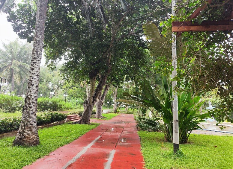 A red pathway flanked by lush greenery and trees. 3