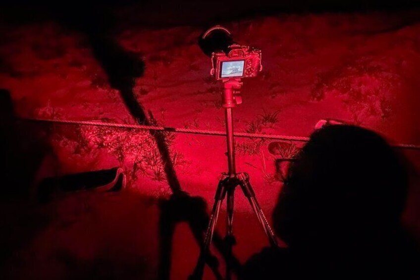 A camera on a tripod in a dimly lit area with red lighting. 3