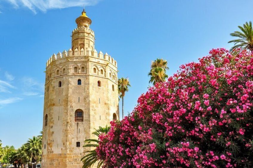 TOP Sevilla : Private Guided Tour with your mobile 4