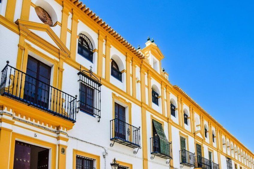 TOP Sevilla : Private Guided Tour with your mobile 2