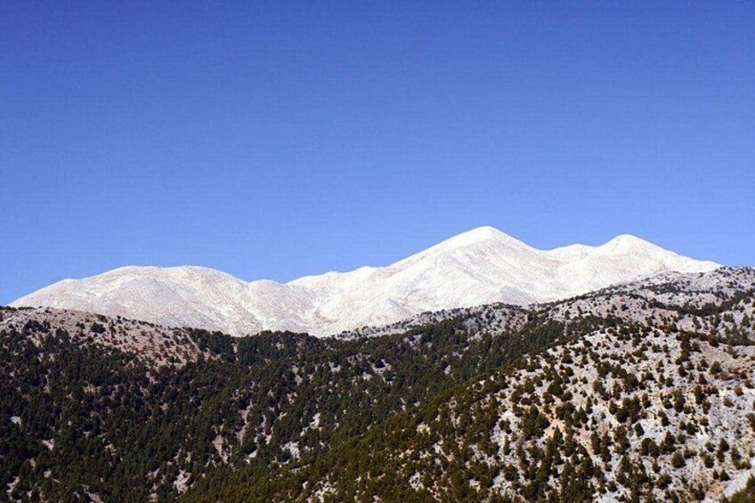Una catena montuosa innevata con pendii ricoperti da una fitta foresta. 5