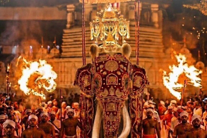 Un elefante ceremonial adornado con decoraciones intrincadas, rodeado por una multitud de personas. 1